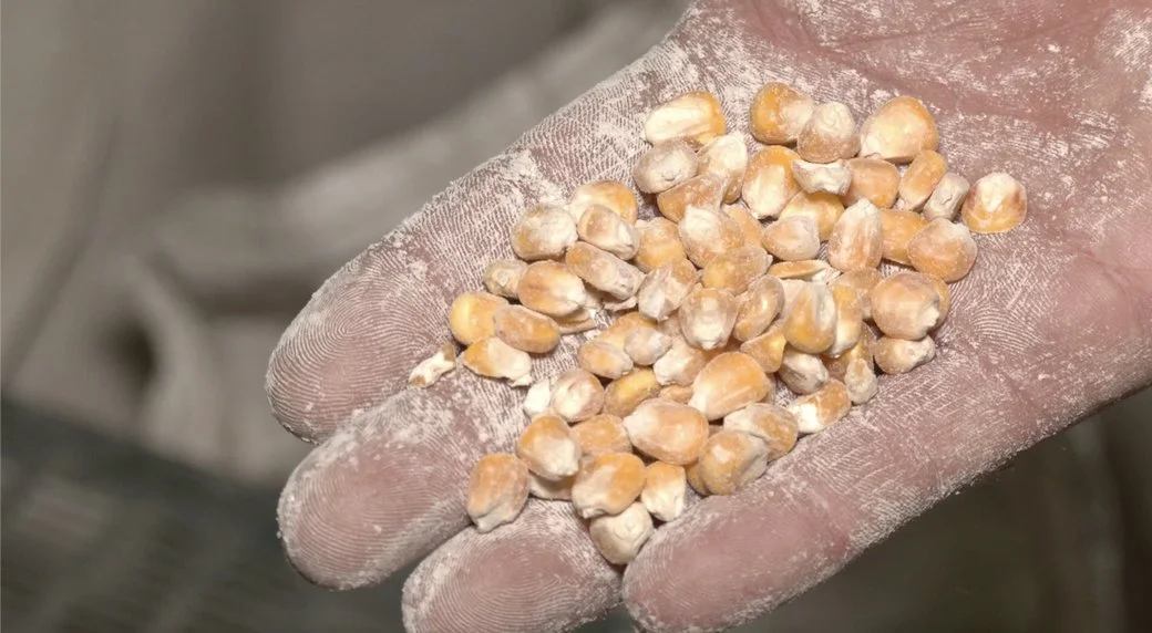 Черкаські агропідприємці розповіли про переваги переробки продукції