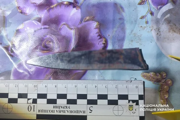 Уманщина: поліція затримала підозрювану у жорстокому вбивстві пенсіонерки