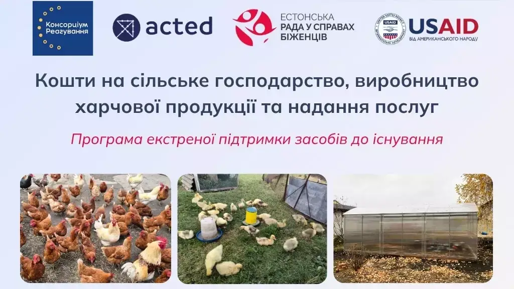 Шанс на власну справу: Естонська рада у справах біженців виділяє гранти до 42 000 гривень для постраждалих від війни