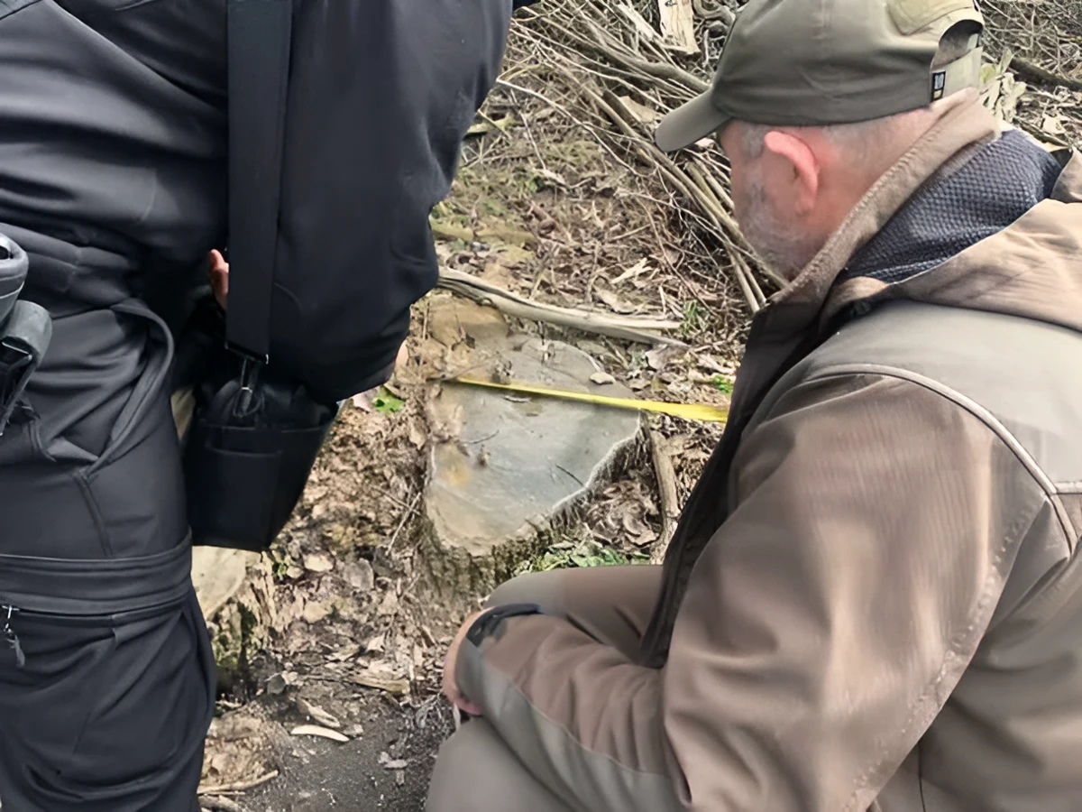 Екоцид у заповідних зонах: на Черкащині виявили масову вирубку лісу