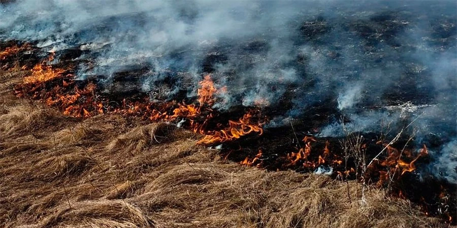 Вогняна весна на Черкащині: за добу рятувальники ліквідували сім пожеж на відкритих територіях