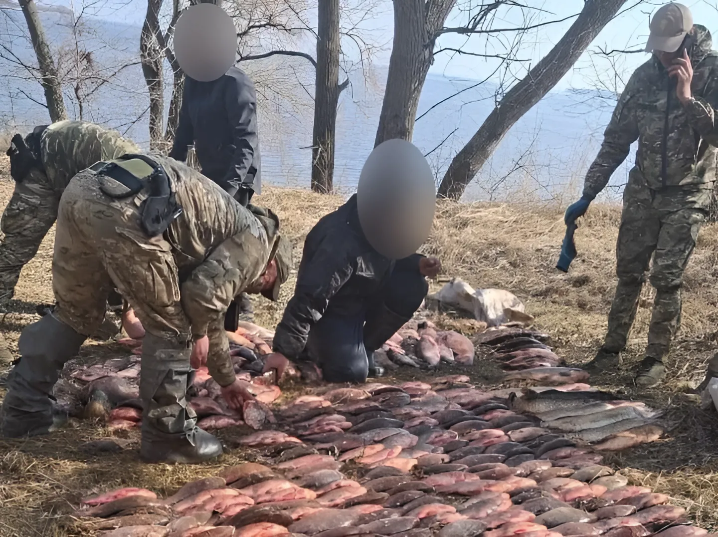 Нічна погоня у «Сулинському»: браконьєри наловили риби на понад 1,3 мільйона гривень