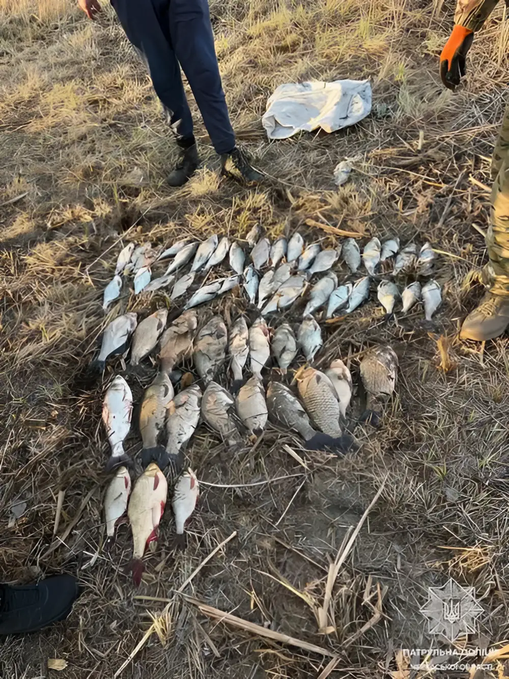 Нічний рейд на Дніпрі: водний патруль викрив порушників у Липівському заказнику